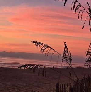 Meet your Posher, Deb